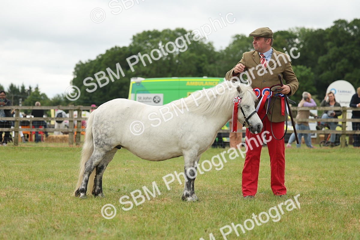 SBM_05095 - Class 50-57 - M&M Welsh Pony In Hand