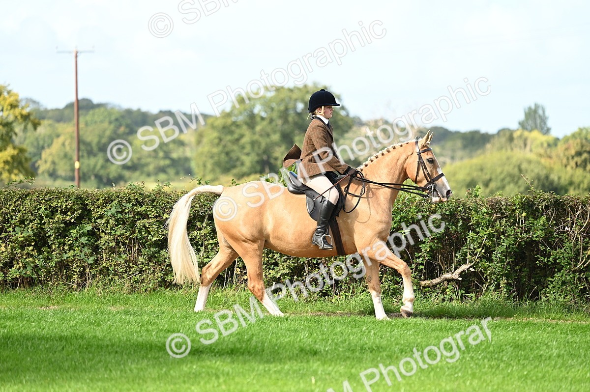 SBM_01725 - S2 - TSR Ridden Horse Showing