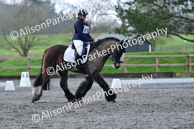 20260125-3816 - Class 12 - Novice