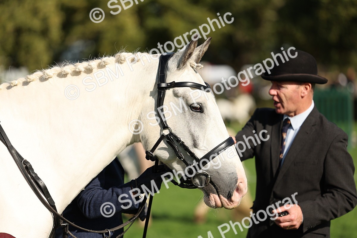SBM_50084 - S34 - Novice & Newcomers Working Hunter