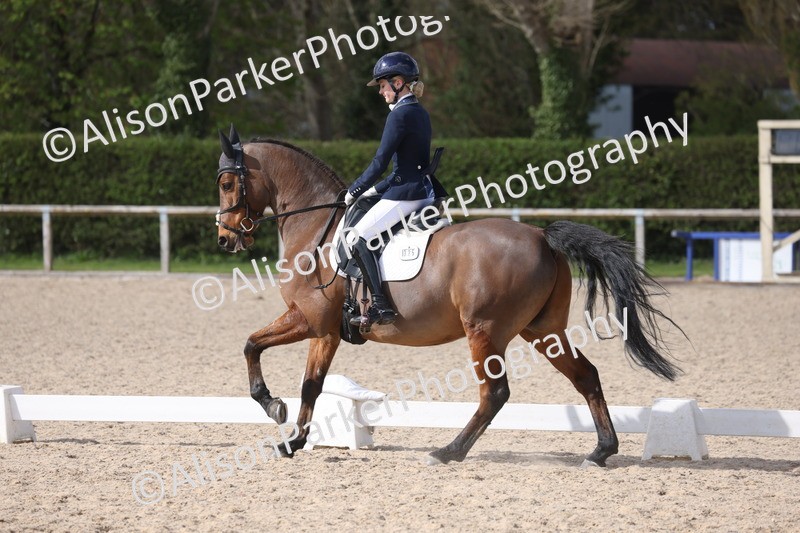 20260405-0921 - Pony FEI