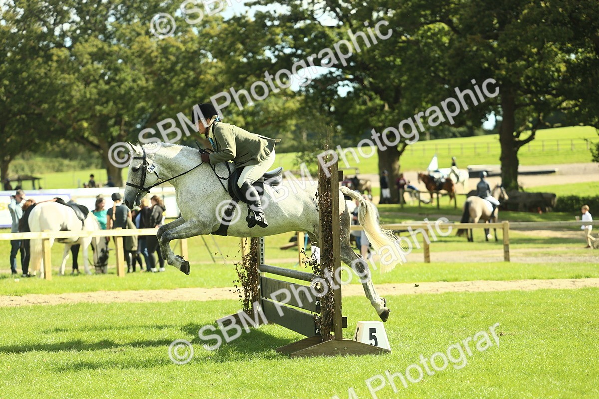 SBM_48074 - S32 - Novice & Newcomers Working Hunter