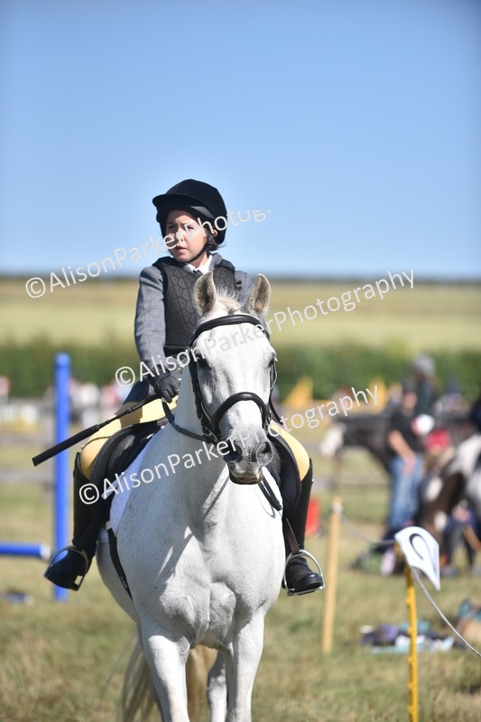 20260906-1679 - Class 9 - Absolute Novice Jumping 45cm