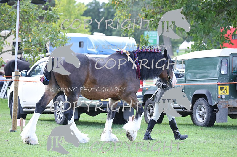 APP_3320 - Class 4 Veterans