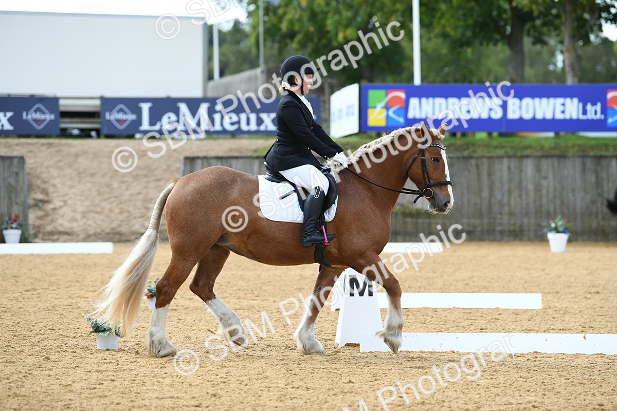 SBM_03088 - D7 Small Tour Championship Prelim 1