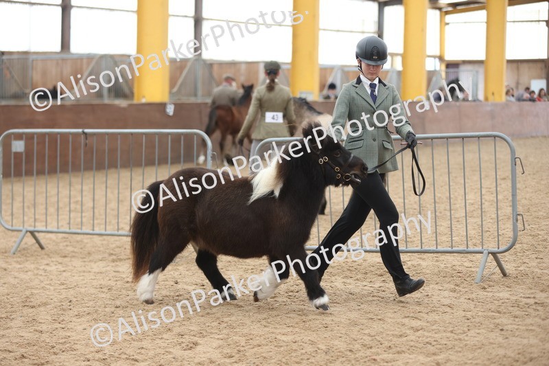 20251109-0225 - Class 11 - 2 and 3 Year Old