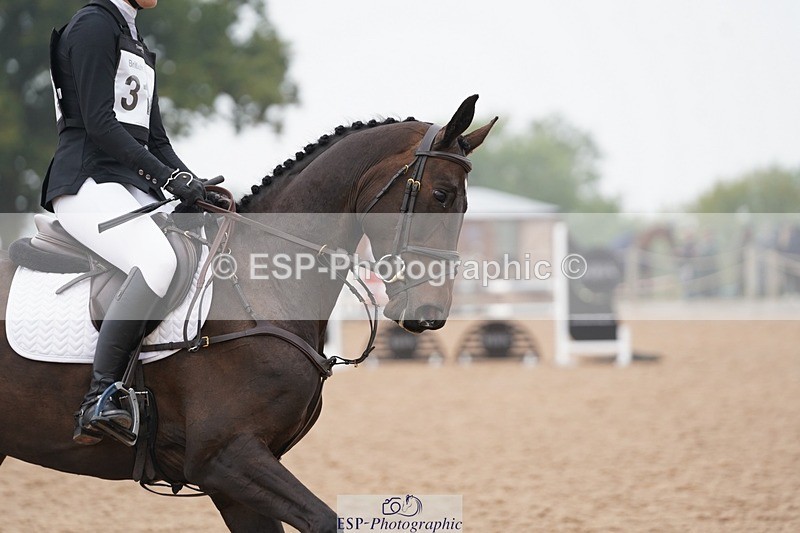 240901A-115844-06746 - 311-Bridget.Garlick-DORIS.DAY.III