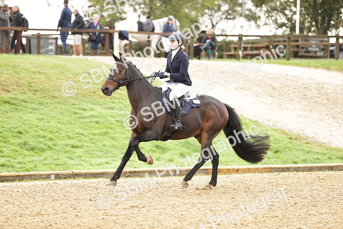 SBM_33001 - J38 - Senior Horse & Pony 80cm Championship