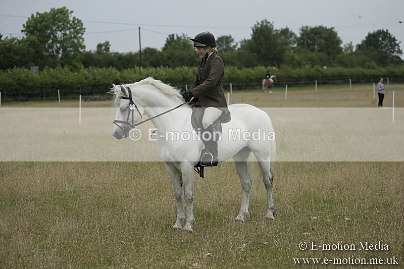 B230619-0113 - Bourne Valley Riding Club Summer Show 23/06/19