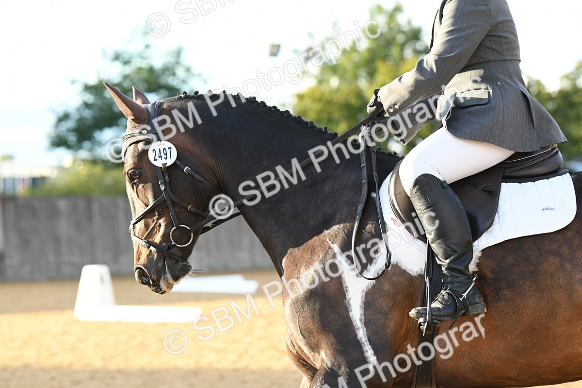 SBM_13432 - D19 Small Tour Championship Elementary 42