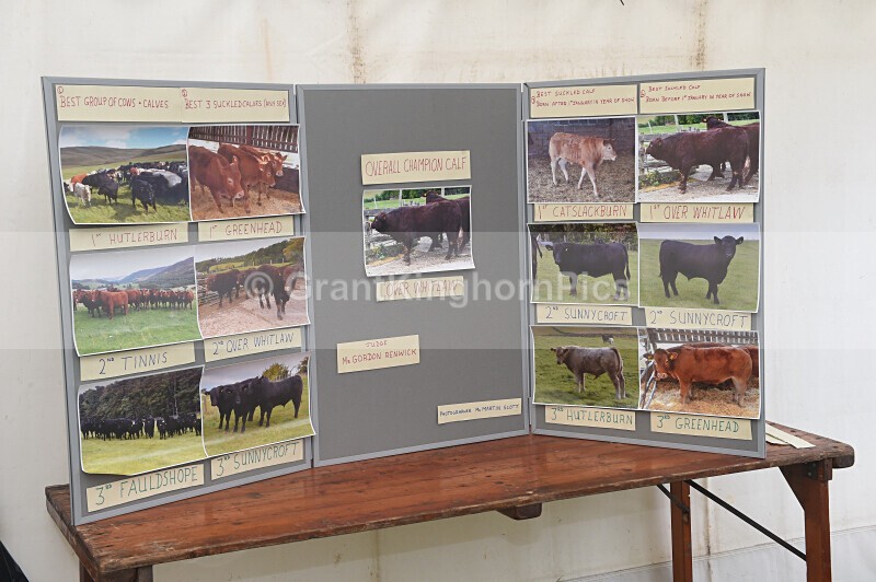 33 - Yarrow & Ettrick Pastoral Society Show 2026