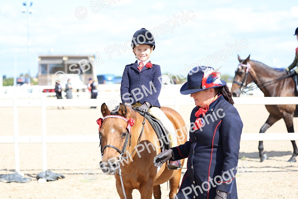 SBM_13066 - Class 309 - Lead Rein Pony