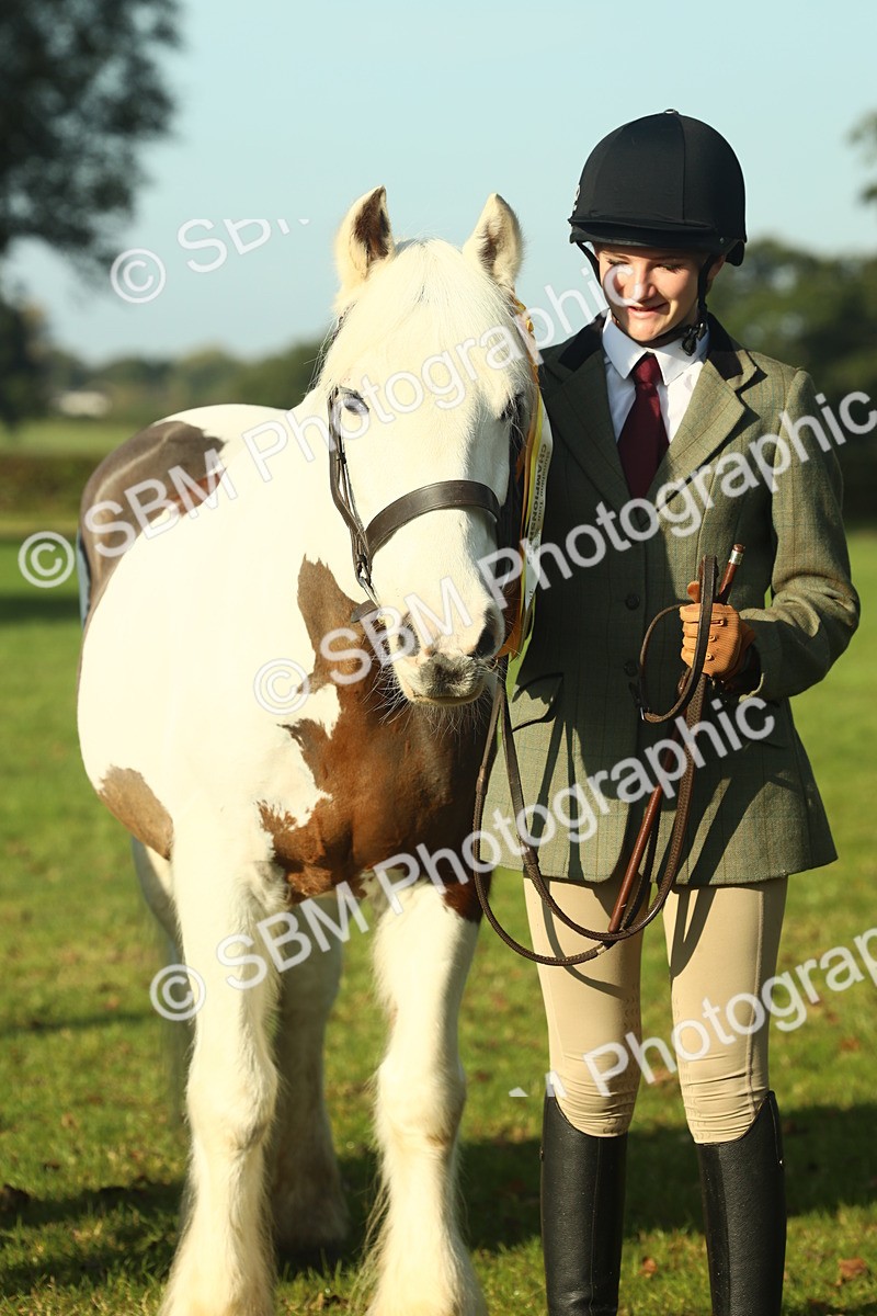 SBM_58491 - S37 - Starters In Hand Showing