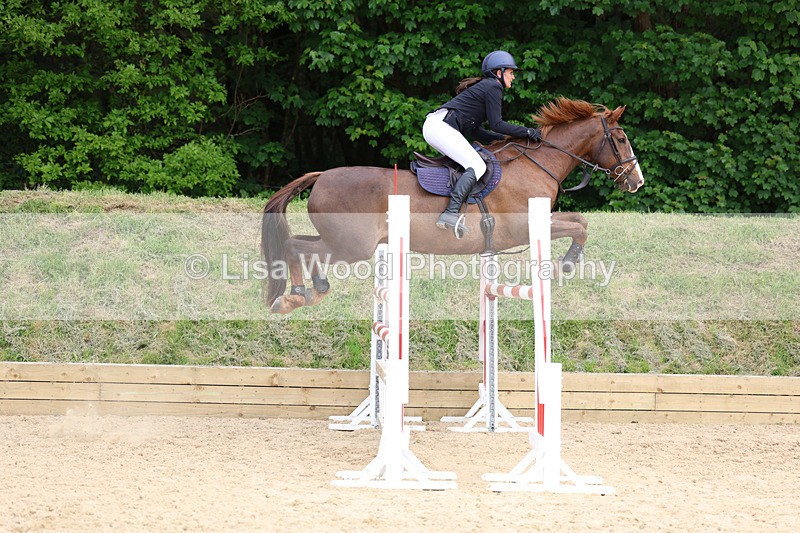 3E7A7499 - Class 8: Senior Foxhunter/1.20 open