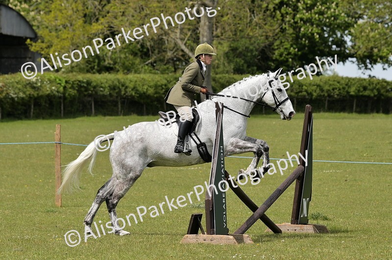 20260426-3671 - Class 22 - Working Hunter