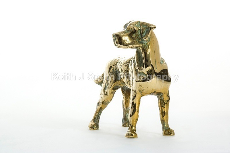 YR6M4023 - Studio Still Life