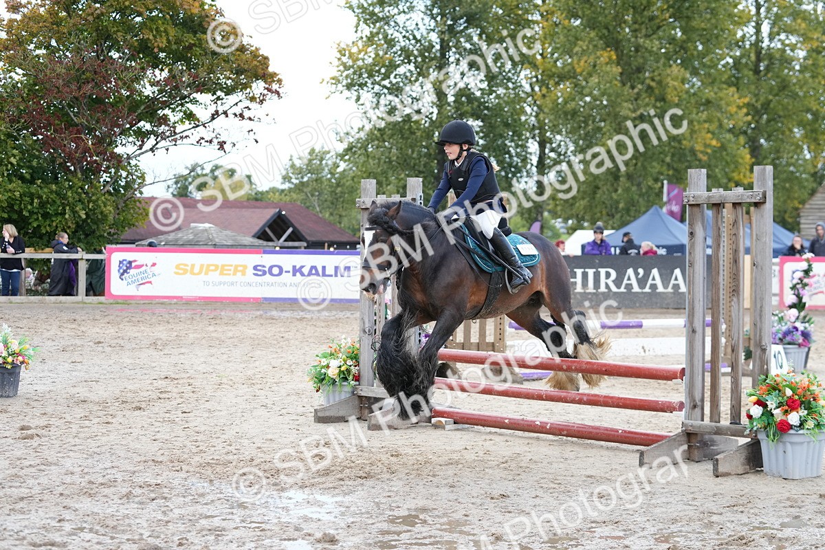 SBM_39643 - J6 - Junior Pony 55cm Championship
