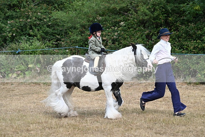 WJ7_6455 - Class 1 Lead Rein Pony