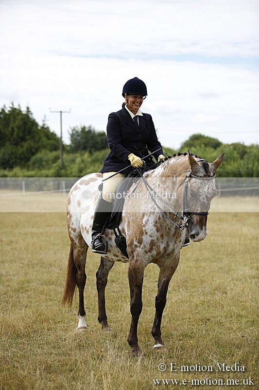 _C7A9522 - BVRC Show 2018 Ring 1