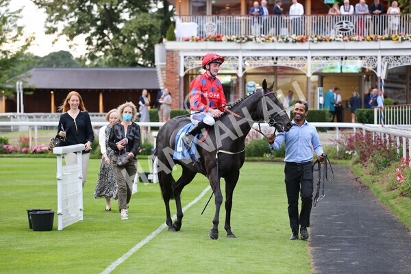 yr23072021r6-28 - Race 6 8.30pm Sky Bet Go-Racing-In-Yorkshire Summer Festival Stakes