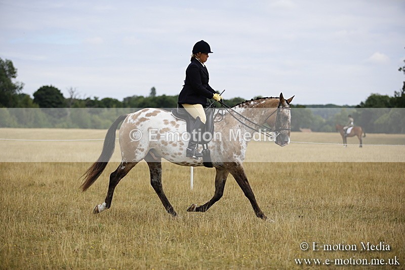 _C7A9481 - BVRC Show 2018 Ring 1