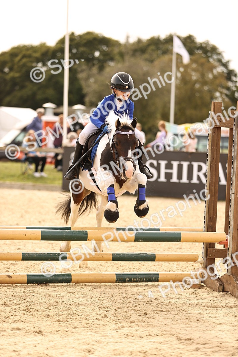 SBM_70805 - J13 - Junior Pony 60cm Championship