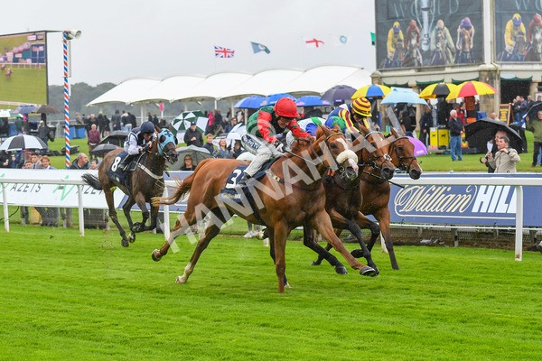140723-Race 1-Northern Express-0049 - Race 1 2.05pm William Hill Epic Value Handicap