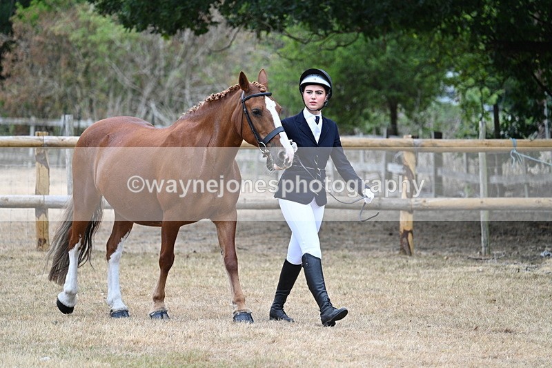 WJ7_8651 - Class 4a Prettiest Mare 14.2hh and over