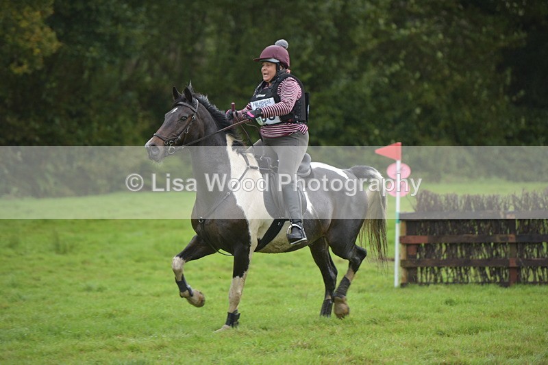 RAY_0312 - Class 4: 80cm: Double of Brushes