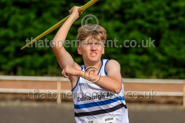 Sen25SUN-926965 - Field Male