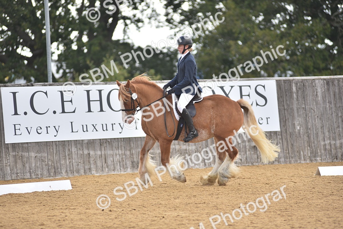SBM_29622 - D16 -Small Tour Championship Novice 2