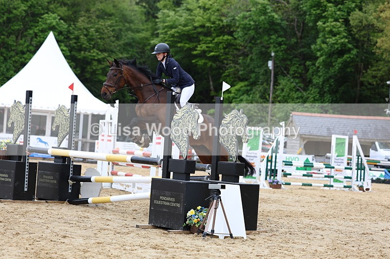 3E7A6438 - Class 4: Senior British Novice/90cm open