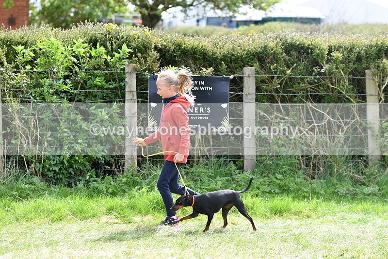 WJ5_0611 - Class 7 Best Terrier