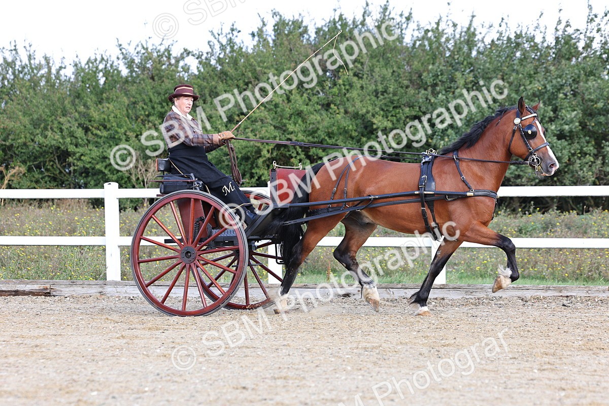 SBM_000821 - Class 6 - Exercise Vehicle 13.2 and over