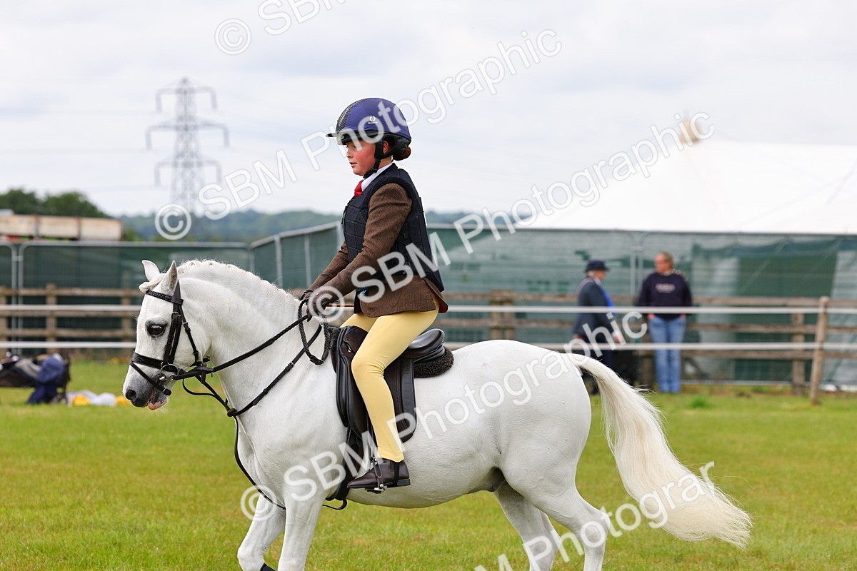 SBM_09495 - Class 44-45 - LIHS BSPS Open Nursery and Cradle Stakes