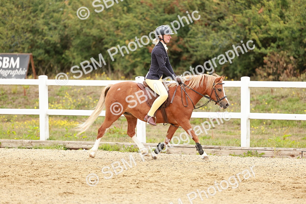 SBM_007480 - Class 2 - 50cm