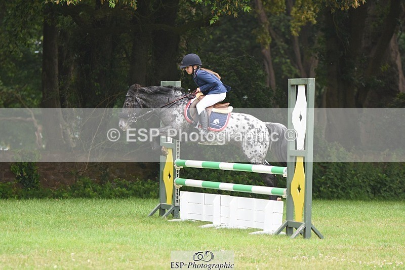 230618-102220-10390 - Cls 28 British Novice & 80cm Open