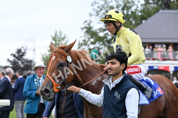230825-013 King Of Cities - Race 1 1.50pm Sky Bet Strensall Stakes