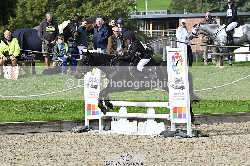 251005A-125655-03972 - Cls 08 Mini 70-75cm