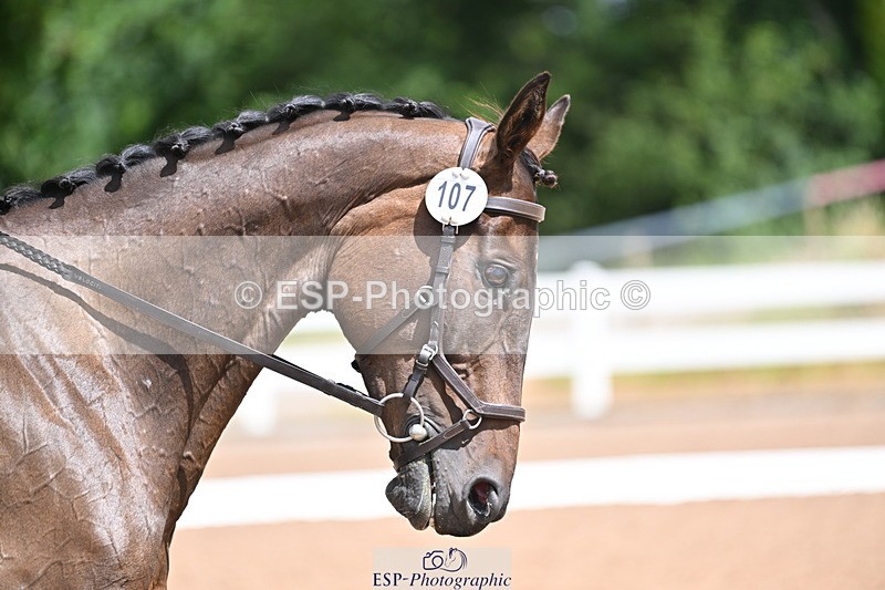 240706A-113335-01117 - Cls 2B Snr Prelim 13