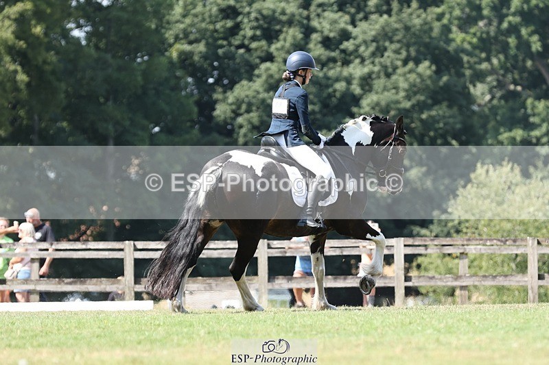 250823A-121202-29433 - Arena D