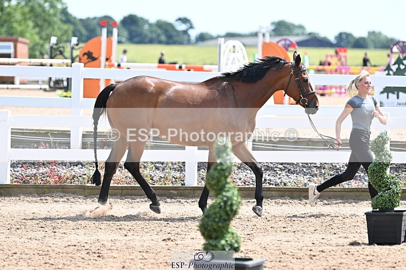 240717A-151319-02654 - Trot Up 3pm to 4pm