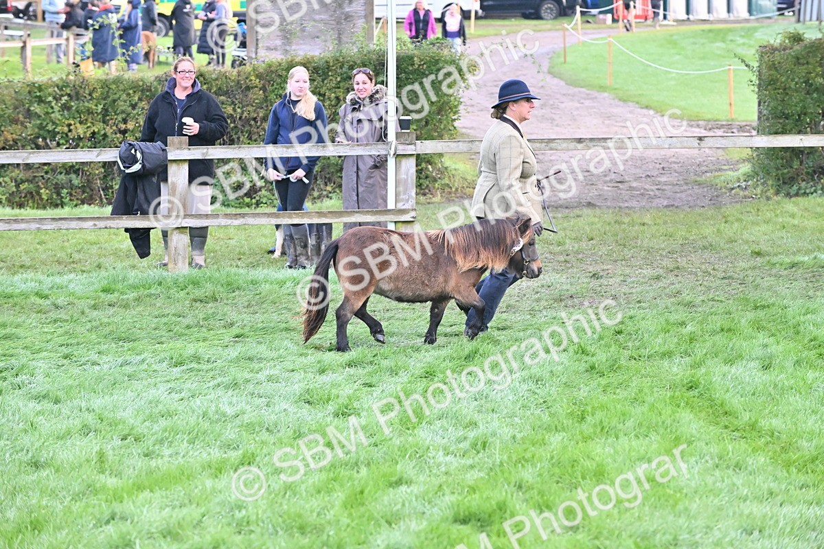 SBM_54601 - S44 - Youngstock In Hand