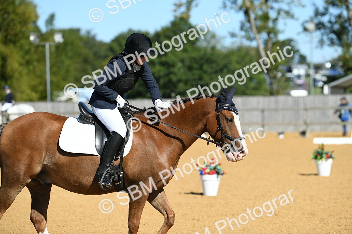 SBM_18155 - D4 - Small Tour Championship - Intro B