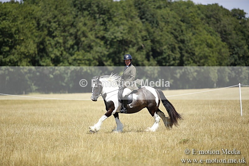 _C7A9956 - BVRC Show 2018 Ring 1
