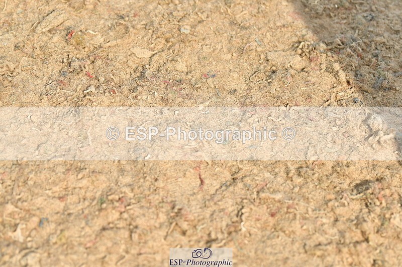 230721A-094232-04805 - Cls 26, 5 Yr Olds 1.10m