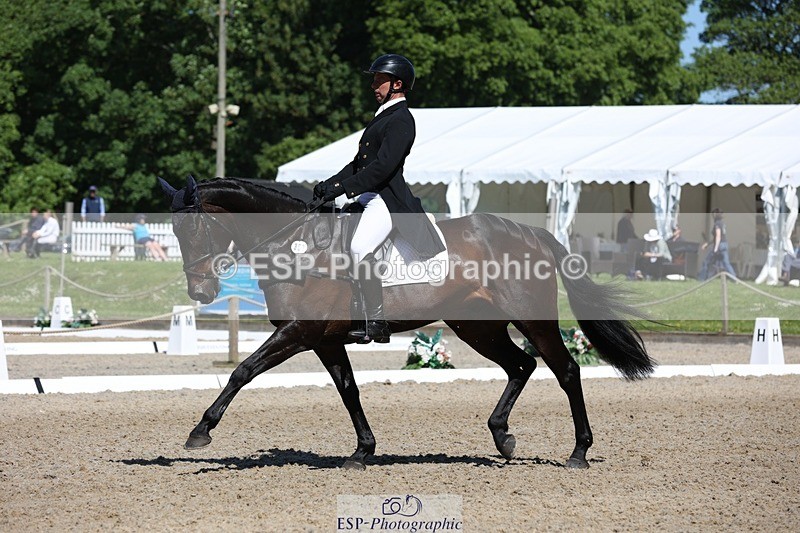 230526-103201-05278 - 362-SPIRIT'S_GEMINI-Harry_Dzenis-WEDTrotUp+DR