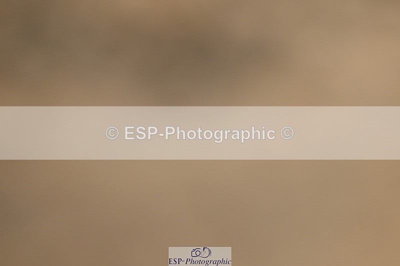 251004A-141732-01487 - Classes 6 & 7 60cm