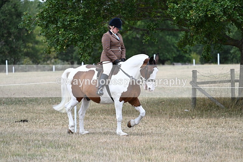 WJ7_4772 - Class 12 Ridden Cob