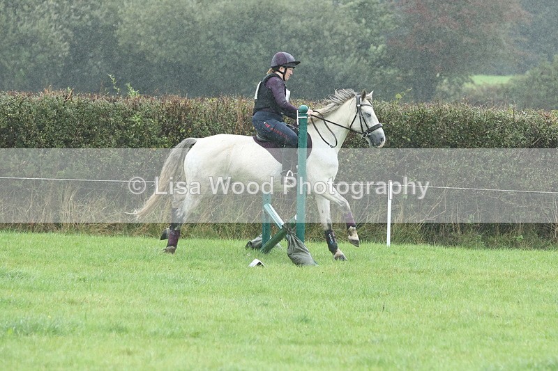 JPP_5116 - Class 1: 65cm : Showjumping